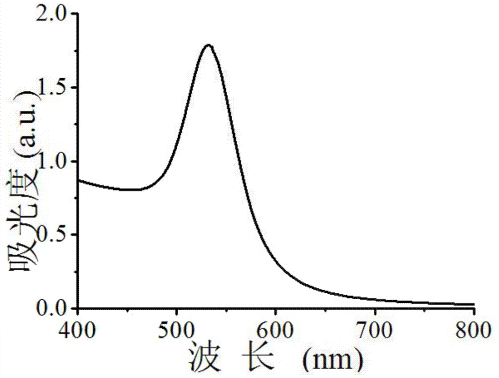 Method for cell imaging by adopting polarized light microscope to observe nano particles