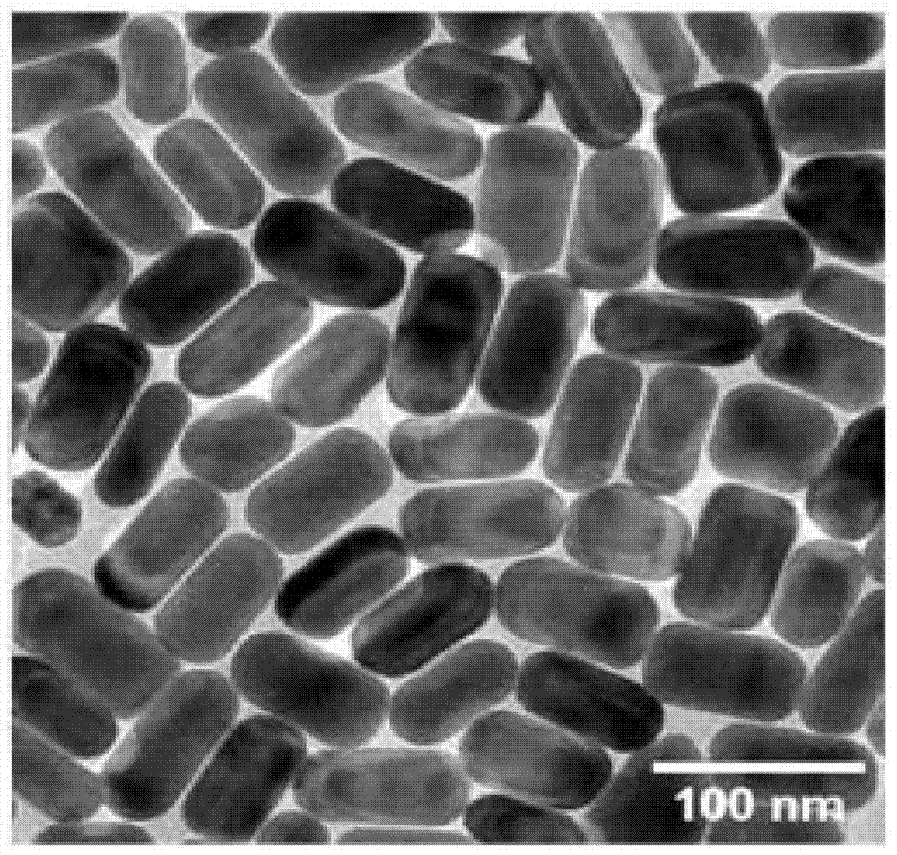 Method for cell imaging by adopting polarized light microscope to observe nano particles