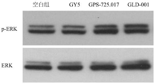 1-sphingosine phosphate receptor 3 agonist as well as preparation method and application thereof