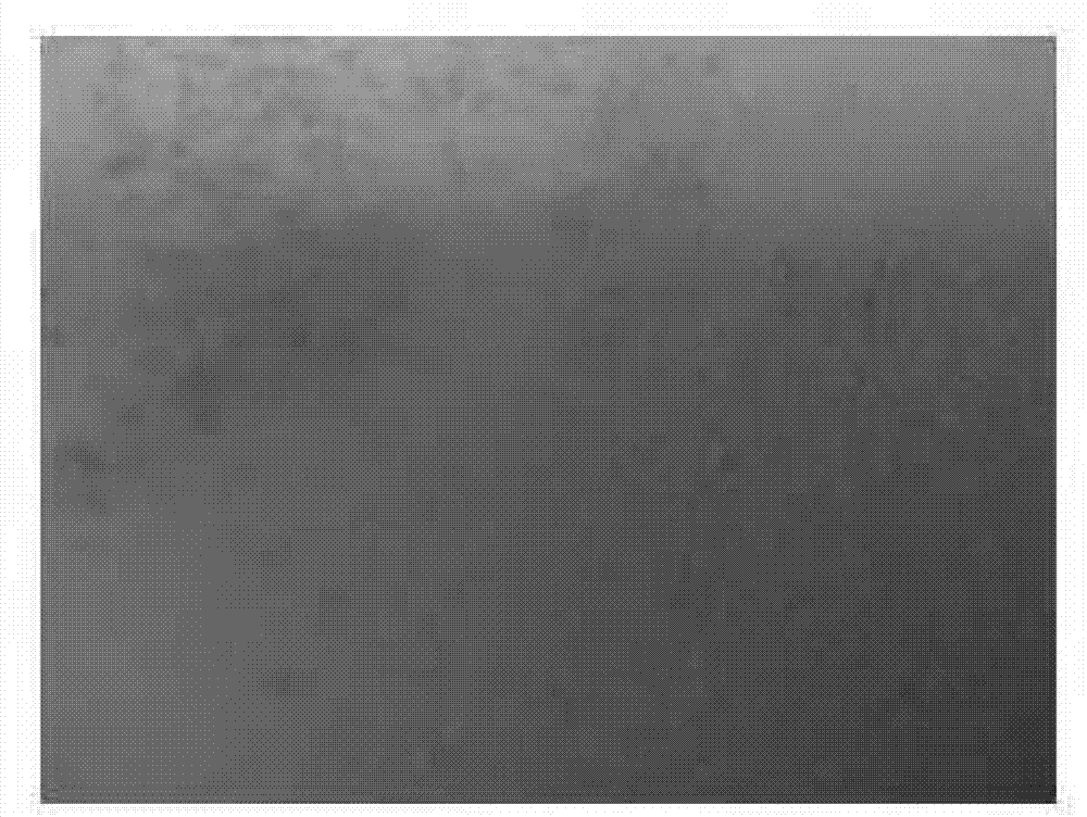 Amine functionalized mesoporous iron oxyhydroxide and method for fabricating the same