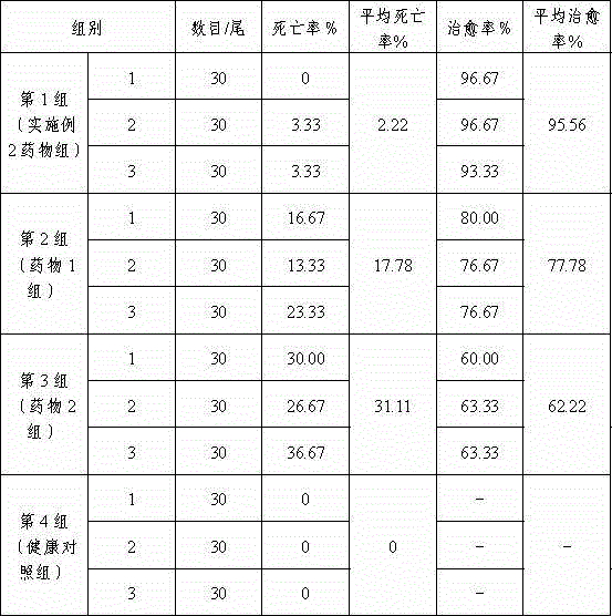 Chinese medicinal composition for prevention and treatment of fish gill rot disease and preparation method thereof