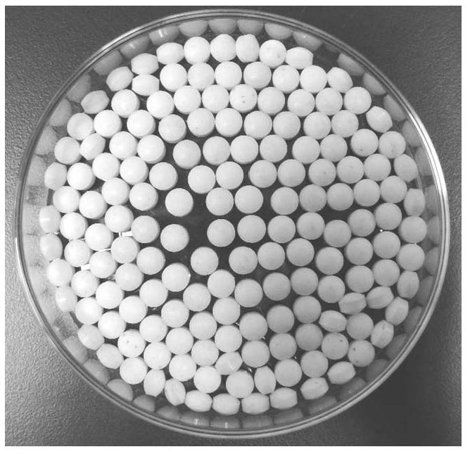 A kind of instant antiseptic granule and preparation method thereof