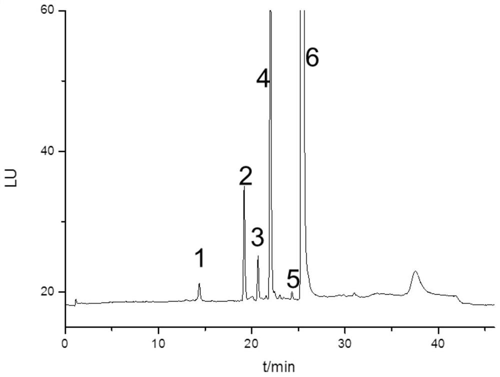 Tobramycin raw material and related preparation impurity spectrum analysis method