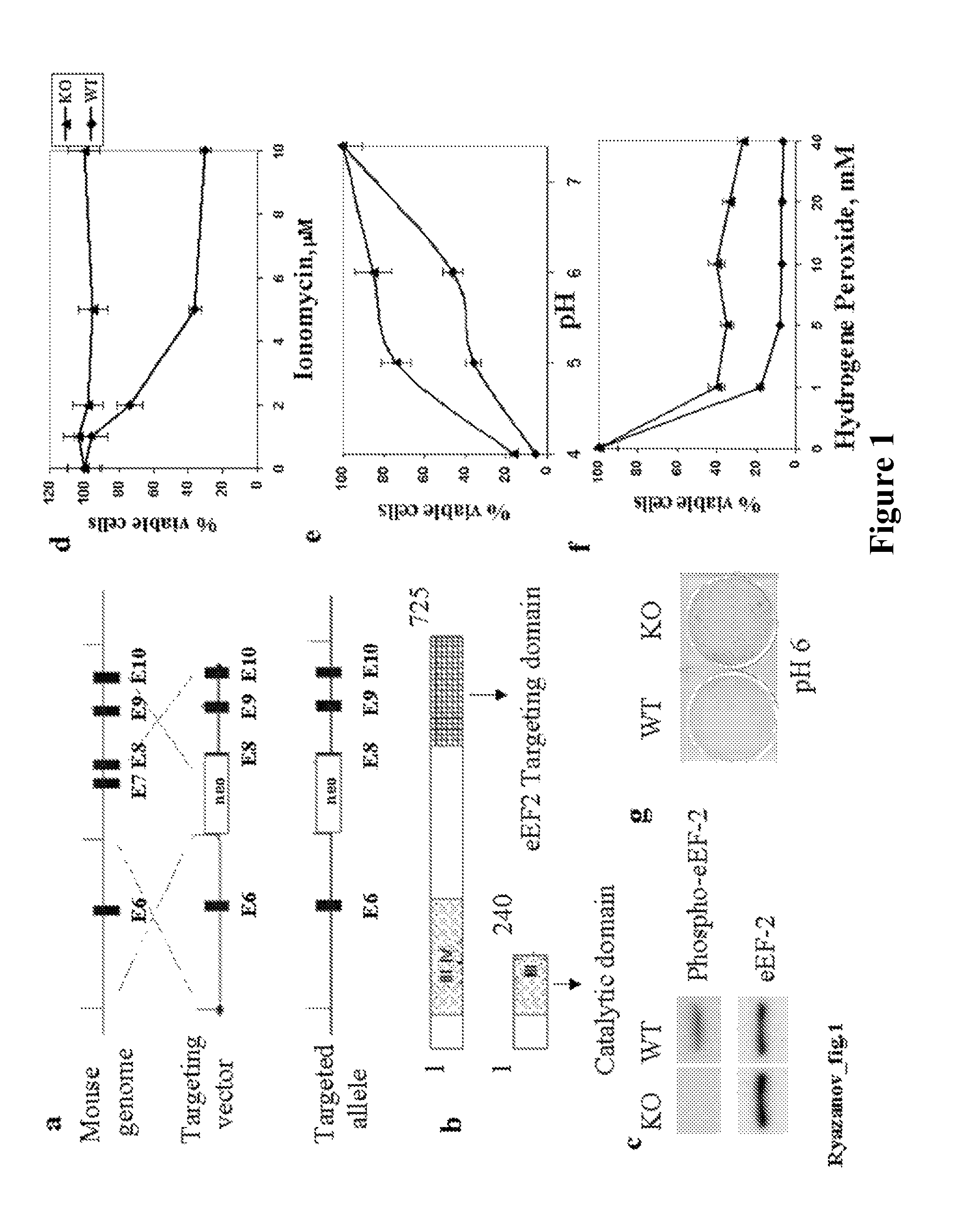 Methods and means for increasing resistance to cell damage