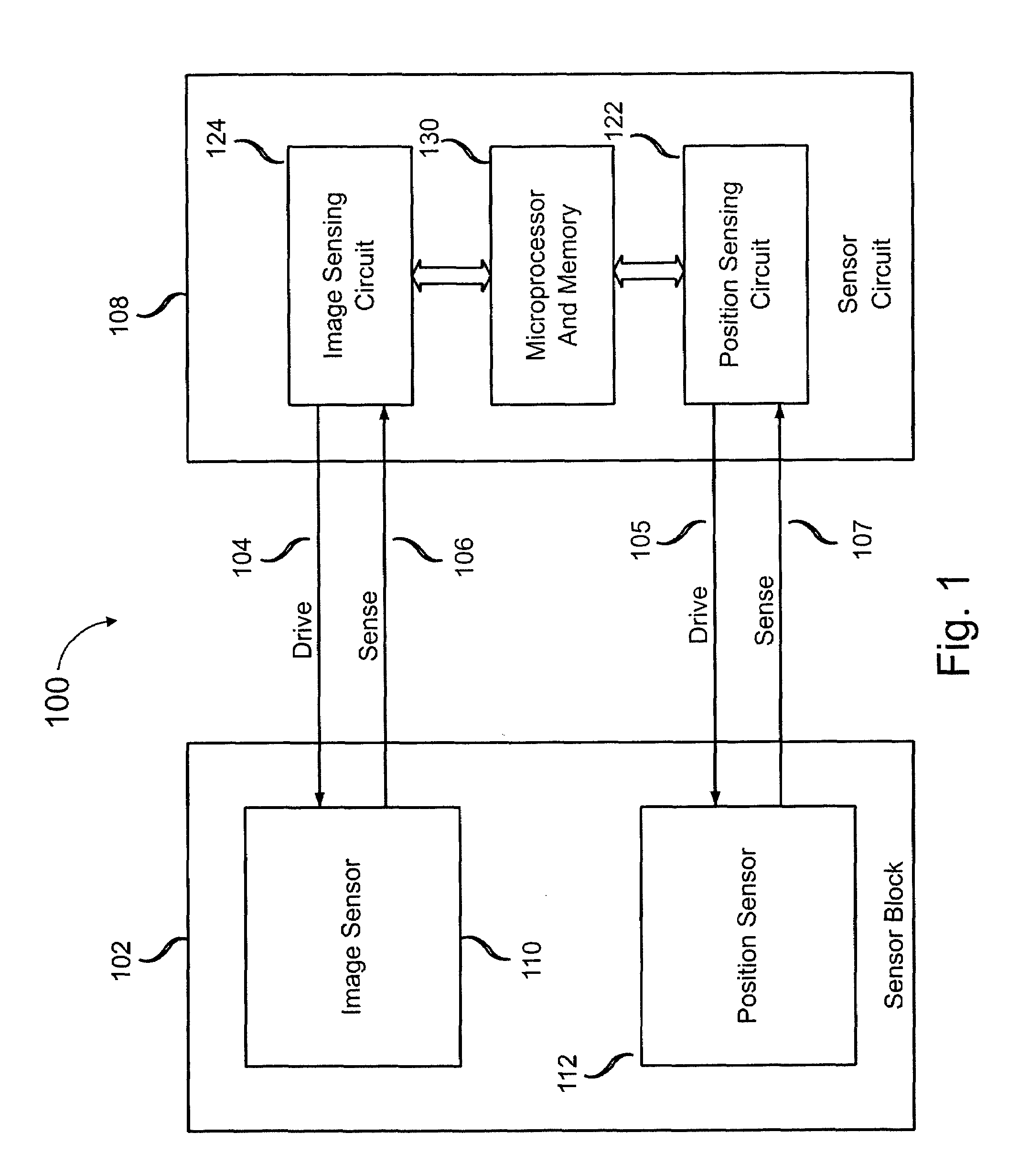 Electronic fingerprint sensor with differential noise cancellation