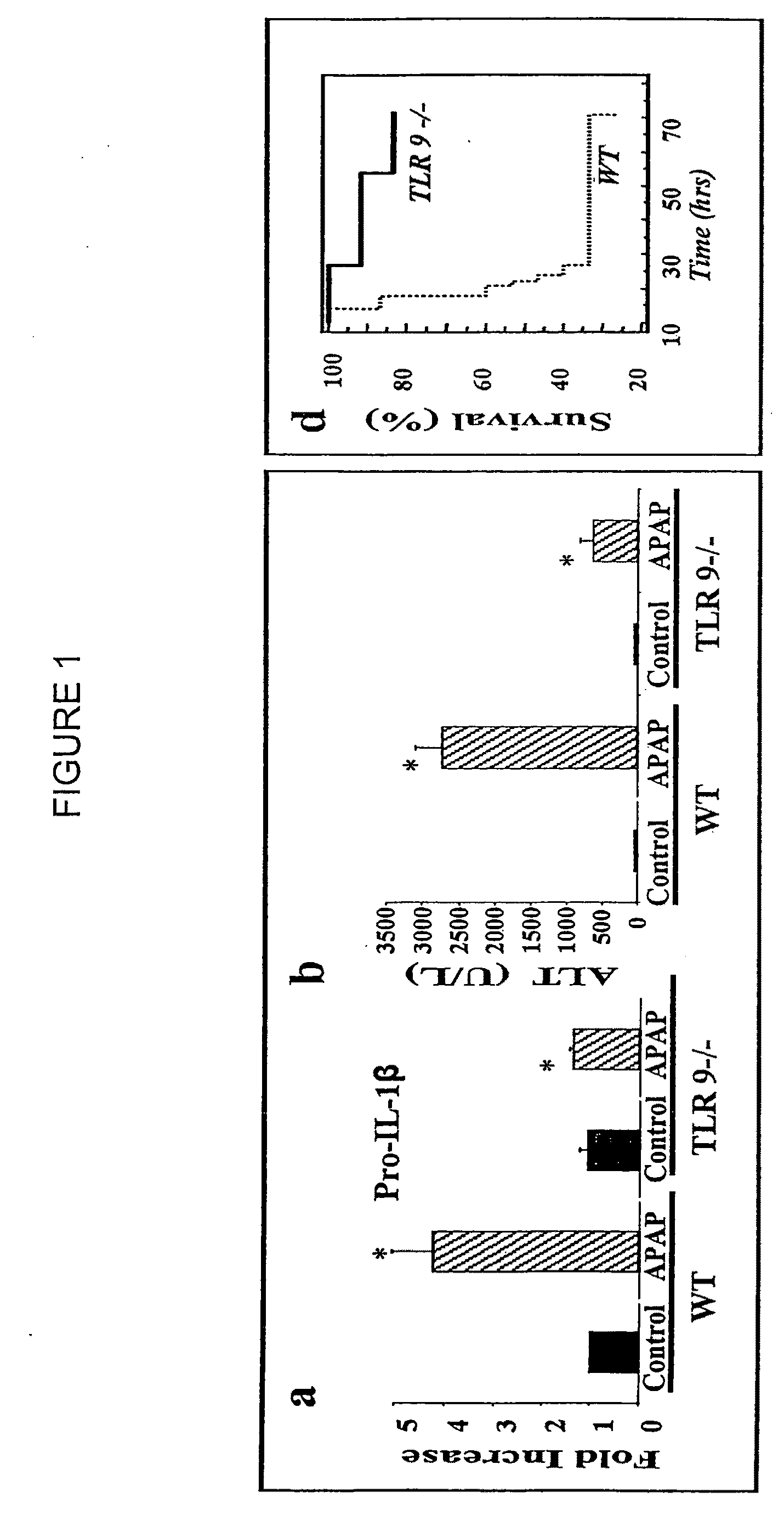 Compositions and methods for reducing hepatotoxicity associated with drug administration and treating non-alcoholic fatty liver disease, non-alcoholic steatohepatitis and associated cirrhosis