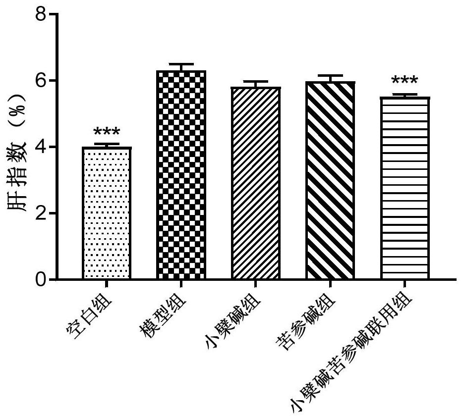 Medicine composition containing berberine and sophocarpidine, and purpose of medicine composition for treating or preventing non-alcoholic fatty liver disease