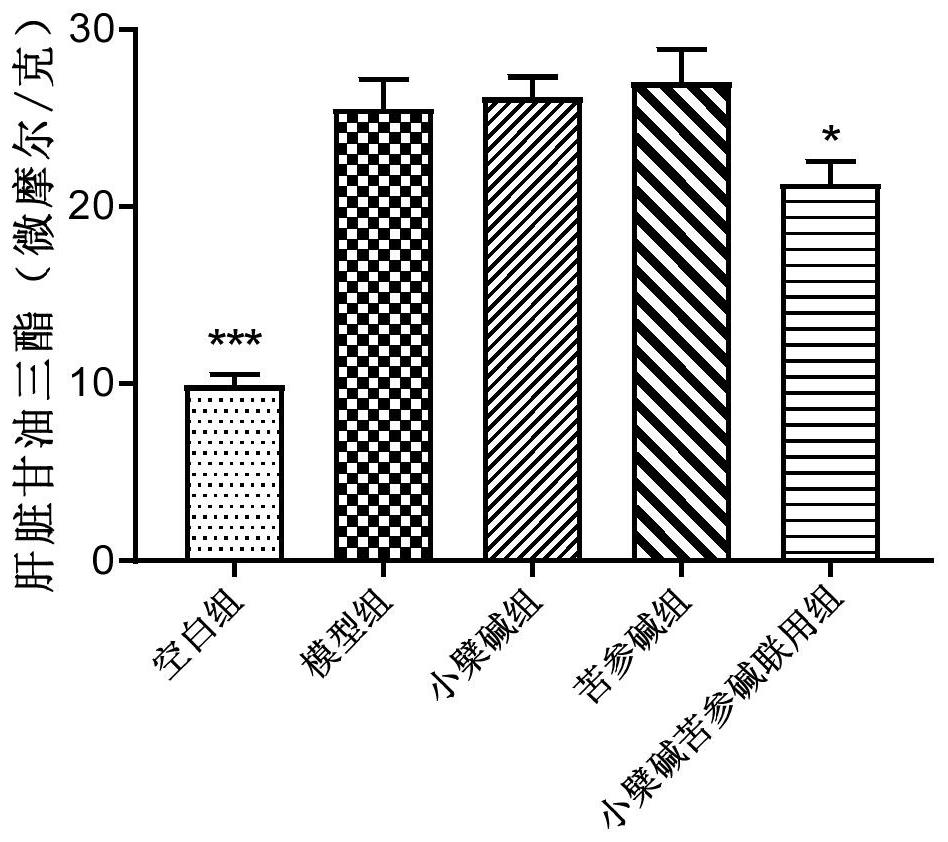 Medicine composition containing berberine and sophocarpidine, and purpose of medicine composition for treating or preventing non-alcoholic fatty liver disease