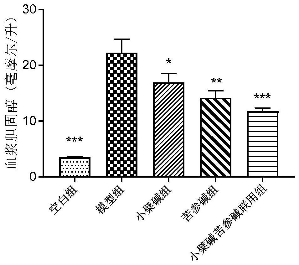 Medicine composition containing berberine and sophocarpidine, and purpose of medicine composition for treating or preventing non-alcoholic fatty liver disease