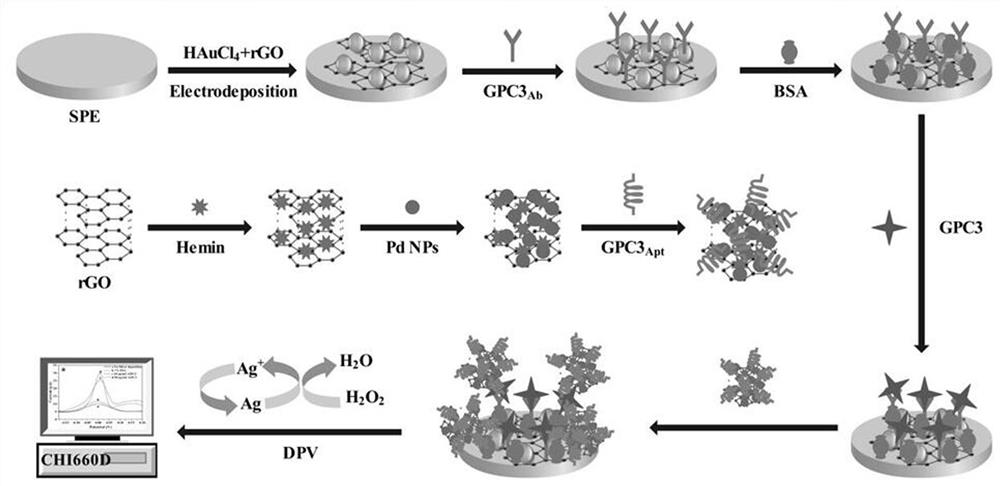 Method for detecting GPC3 based on H-rGO-Pd NPs and Au NPs (at) rGO nanometer materials