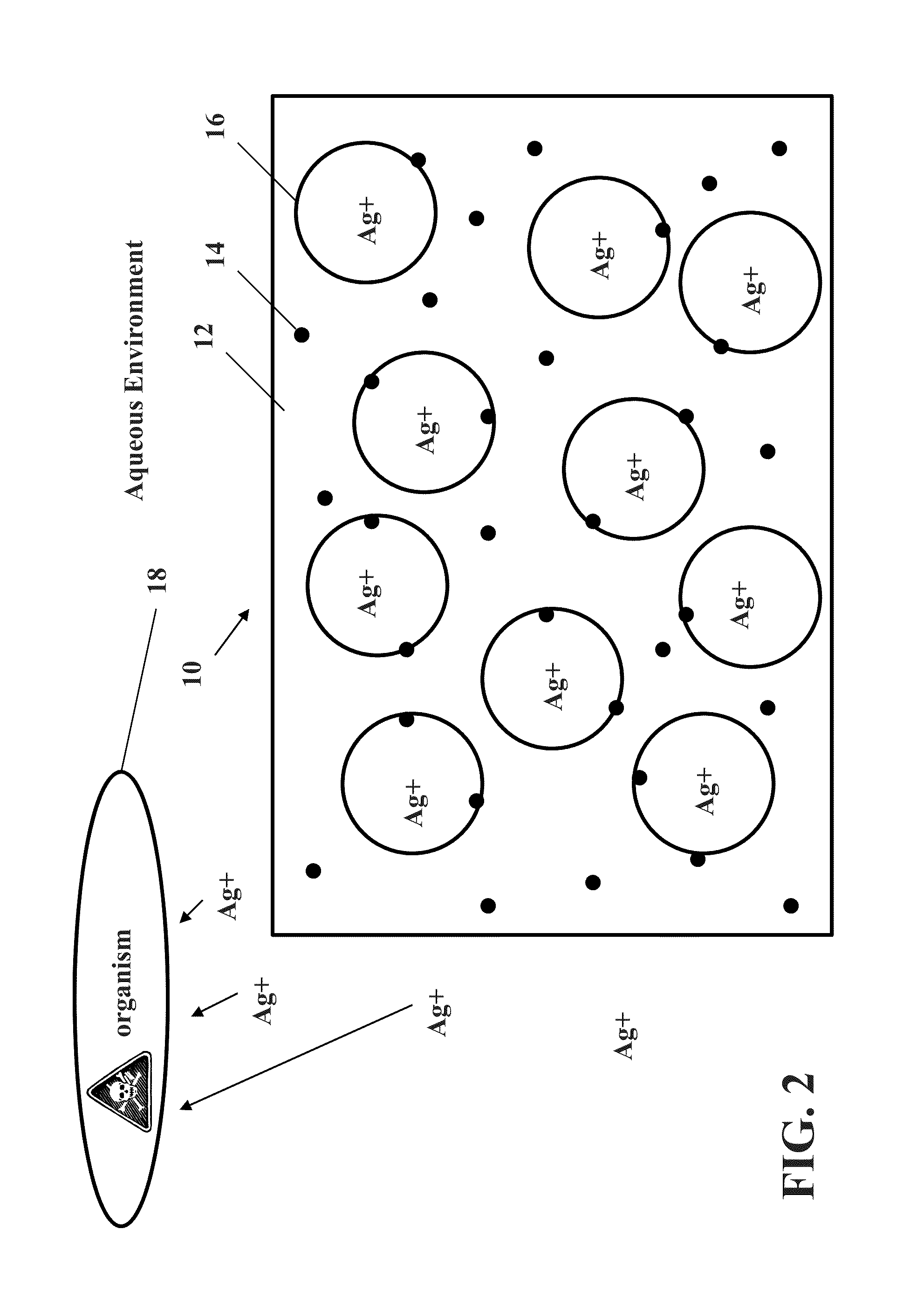 Antimicrobial foam and method of manufacture
