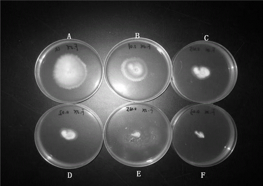 Method for preventing and controlling watermelon wilt and special microbial strains thereof