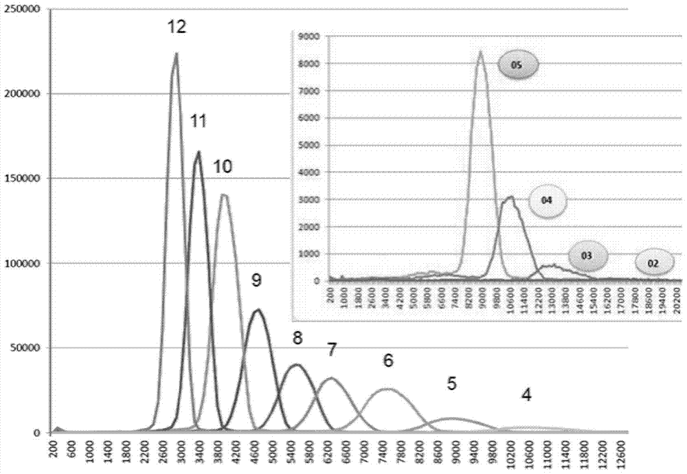 A method for preparing multiple DNA large fragments inserted into a paired-end sequencing library at one time