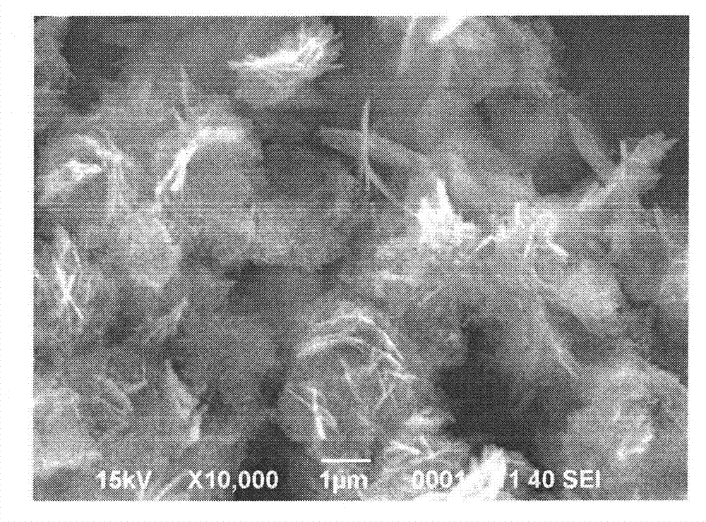 ZnO nano powder in sheet uniform porous structure as well as preparation method and applications thereof