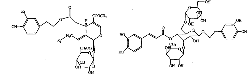 Ginsenoside compound in syringa pubescens turca and extraction method and application thereof