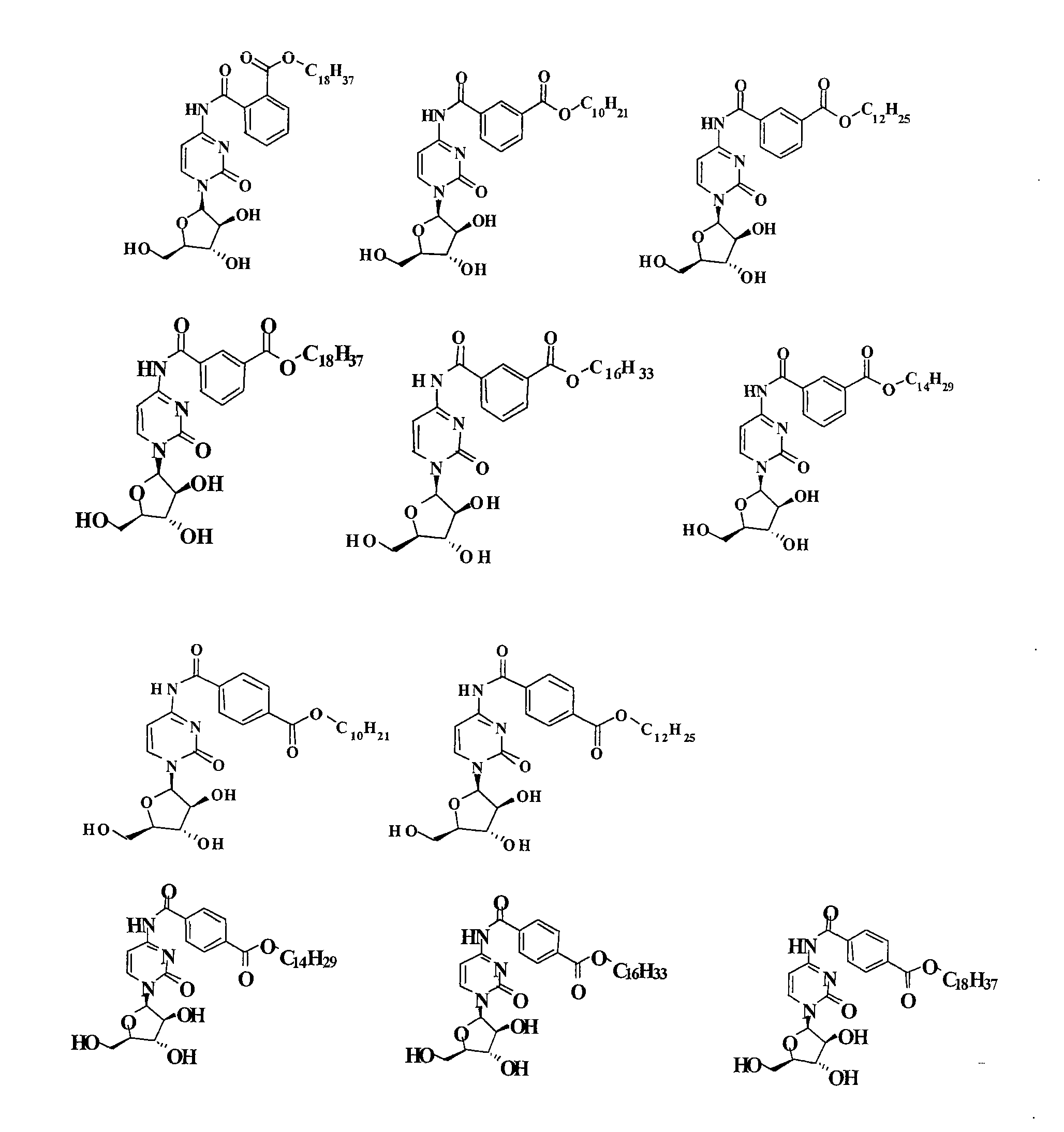 Cytarabine derivatives and purposes thereof in resisting cancers and tumors