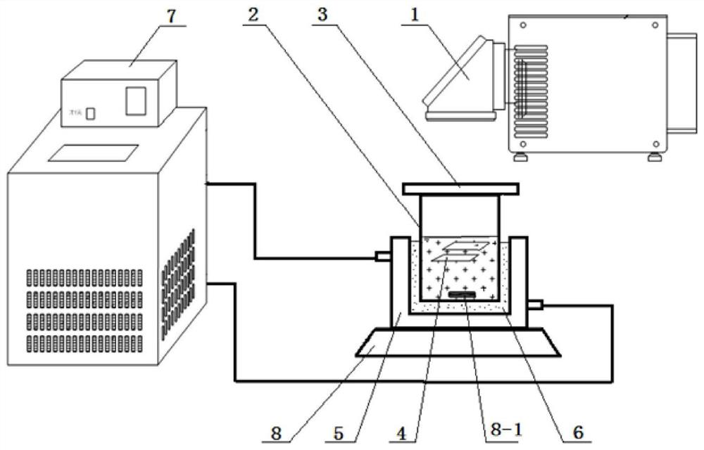 Preparation method of titanium dioxide nanotube network catalytic plate and application of titanium dioxide nanotube network catalytic plate to treatment of antibiotics resistance genes in sludge