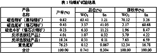 Mineral separation technique for fine-grain tungsten-tin associated minerals