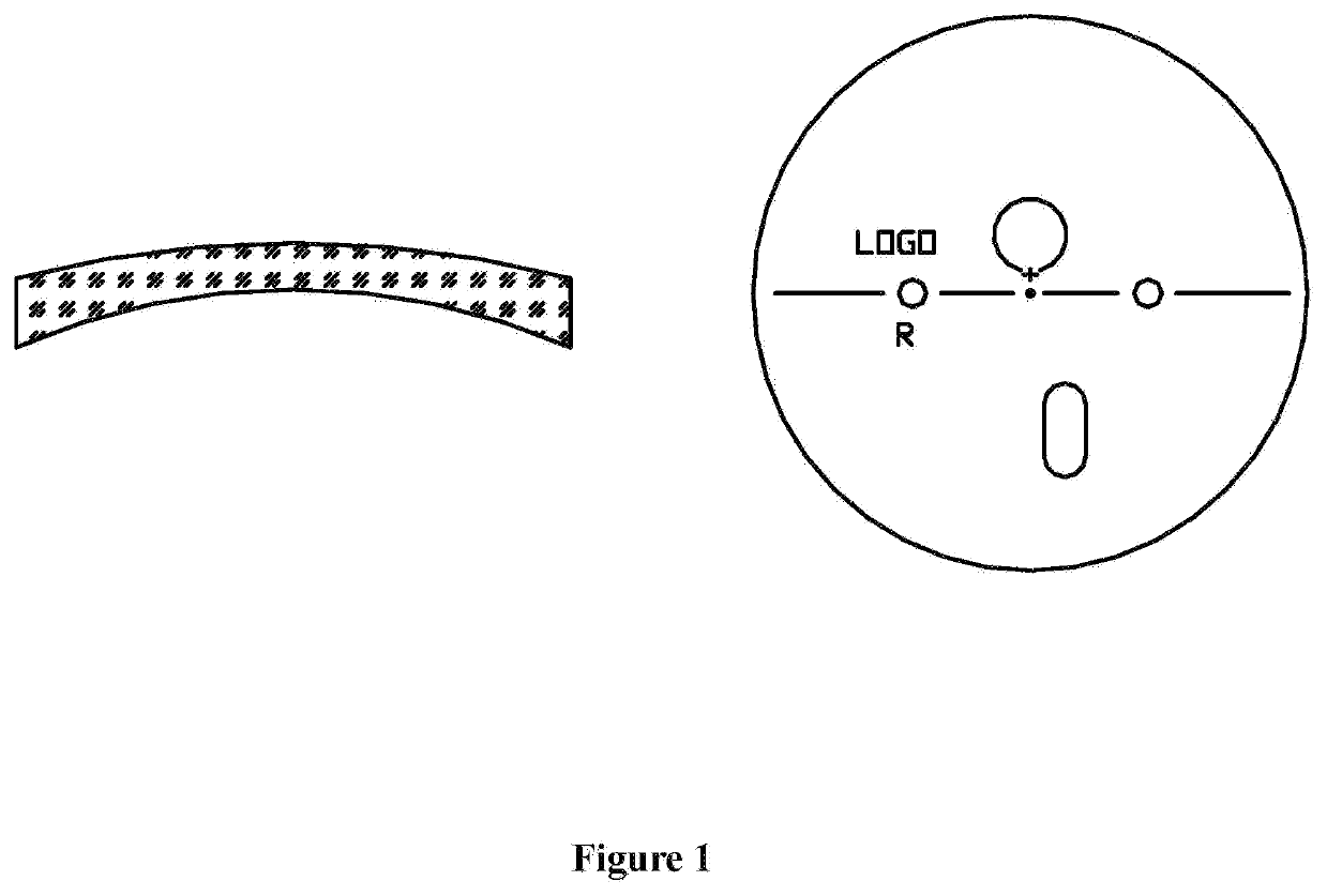 Revolving drum type digital lens printing device