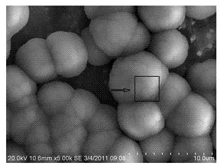 Treatment solution and treatment method for preparing golden cryolite conversion film on surface of aluminum alloy