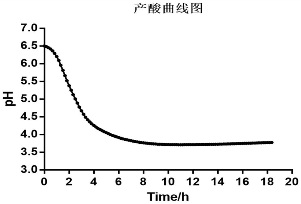 Streptococcus thermophilus, sleep-aiding fermented milk base material rich in GABA, lactic acid bacteria beverage and preparation method