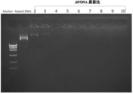 A kind of cationic silk fibroin and preparation method thereof