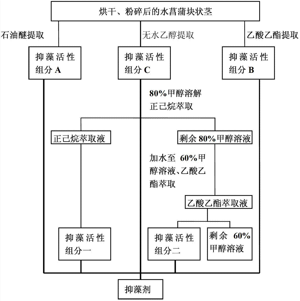 Method for extracting natural algicide from Acorus calamus L and algae inhibition method