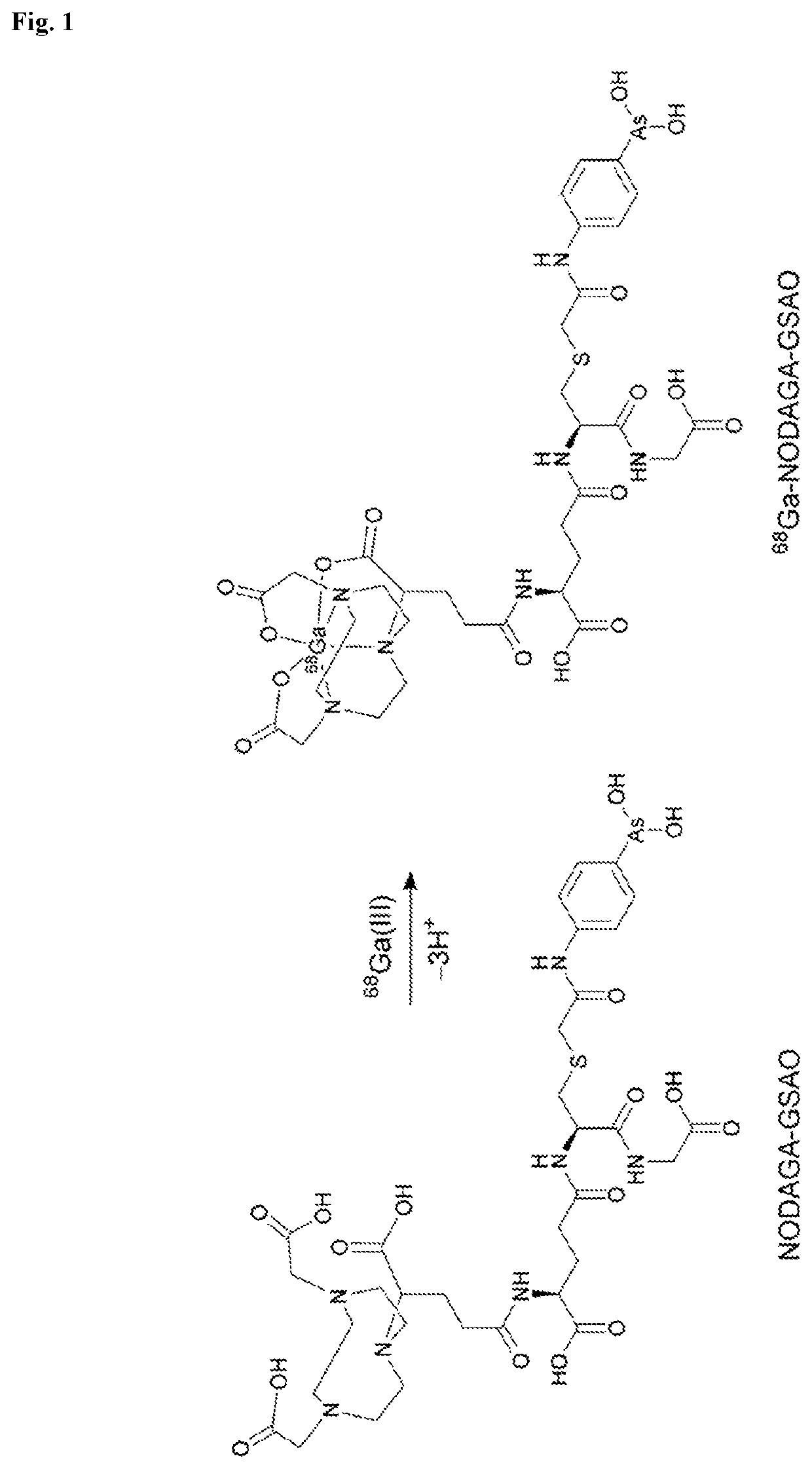 Conjugates and their use as imaging agents