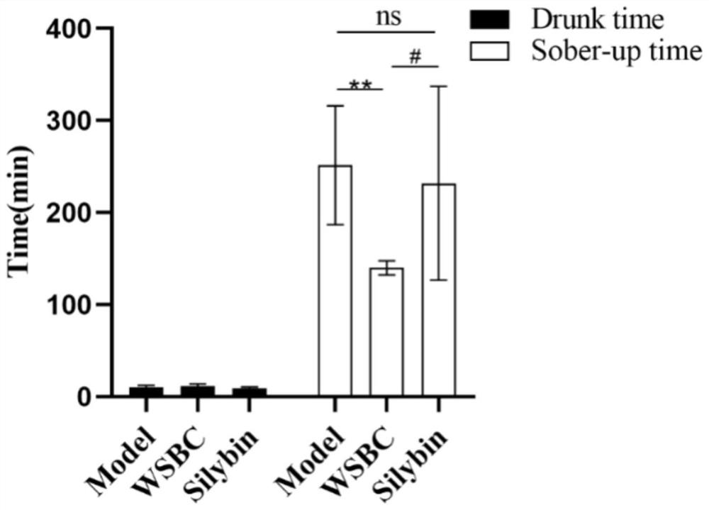 Application of Wangshi Baochi pills in preparation of medicine for preventing and/or treating alcoholic liver injury