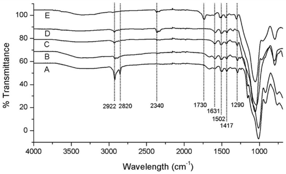 Ionic liquid bridged hybrid silicon oxide serving as water-rich chromatographic stationary phase as well as preparation method and application of ionic liquid bridged hybrid silicon oxide