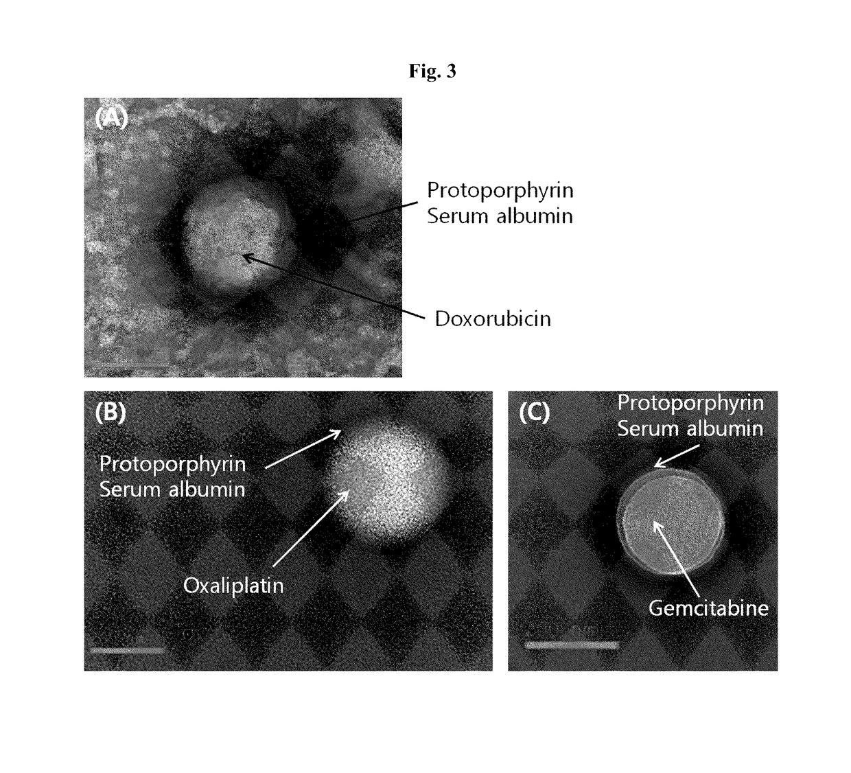 Targeting-enhanced anticancer nanoparticles and preparation methods of same