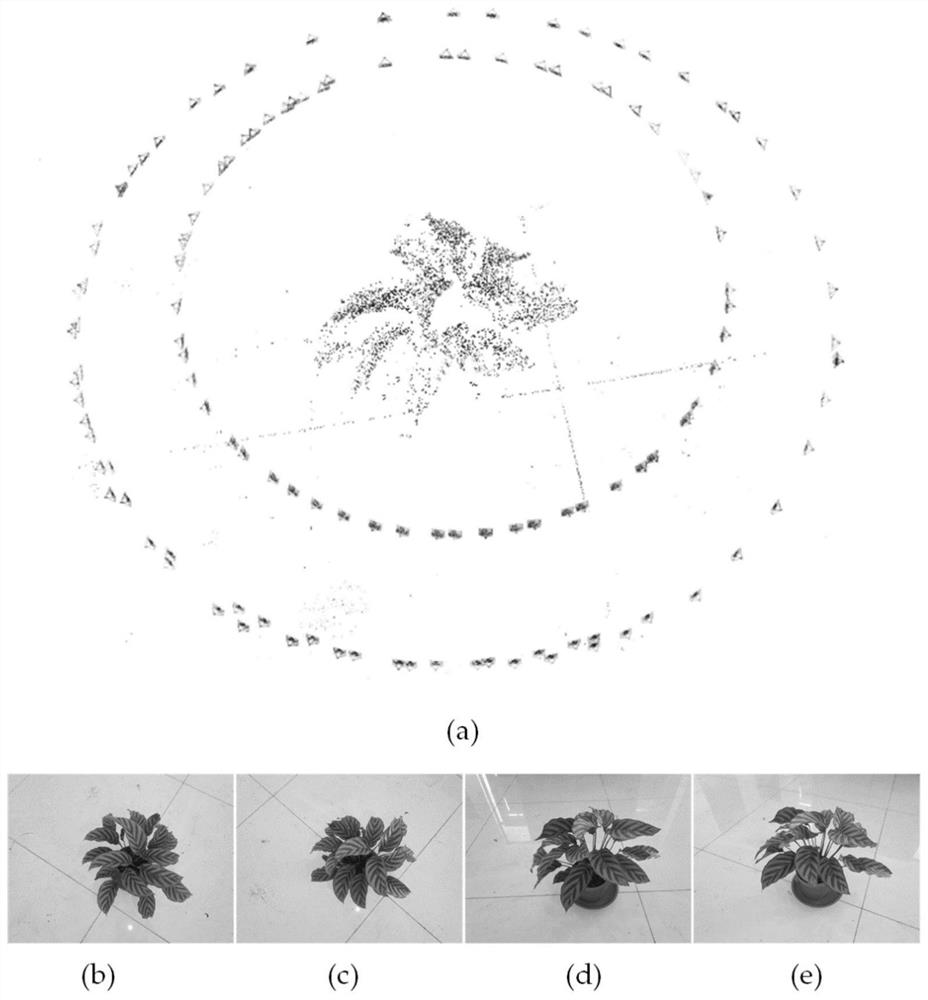 Plant point cloud blade segmentation and phenotypic characteristic measurement method