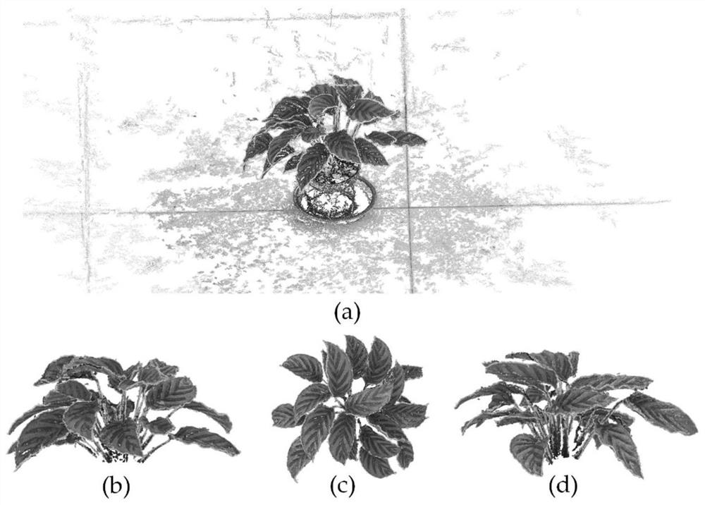 Plant point cloud blade segmentation and phenotypic characteristic measurement method