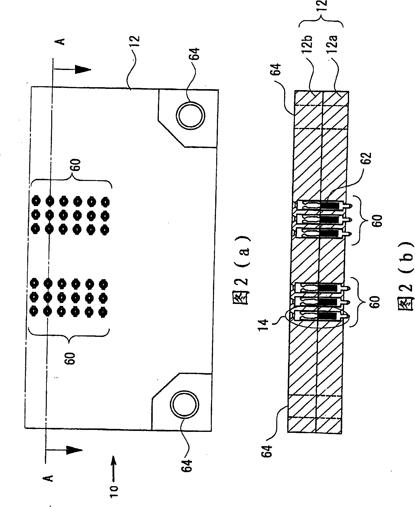 Socket adaptor apparatus