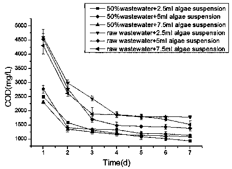 Method for processing soy sauce wastewater through microalgae