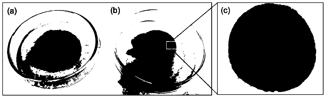 A kind of preparation method of conductive hydrogel based on one-dimensional nano polypyrrole