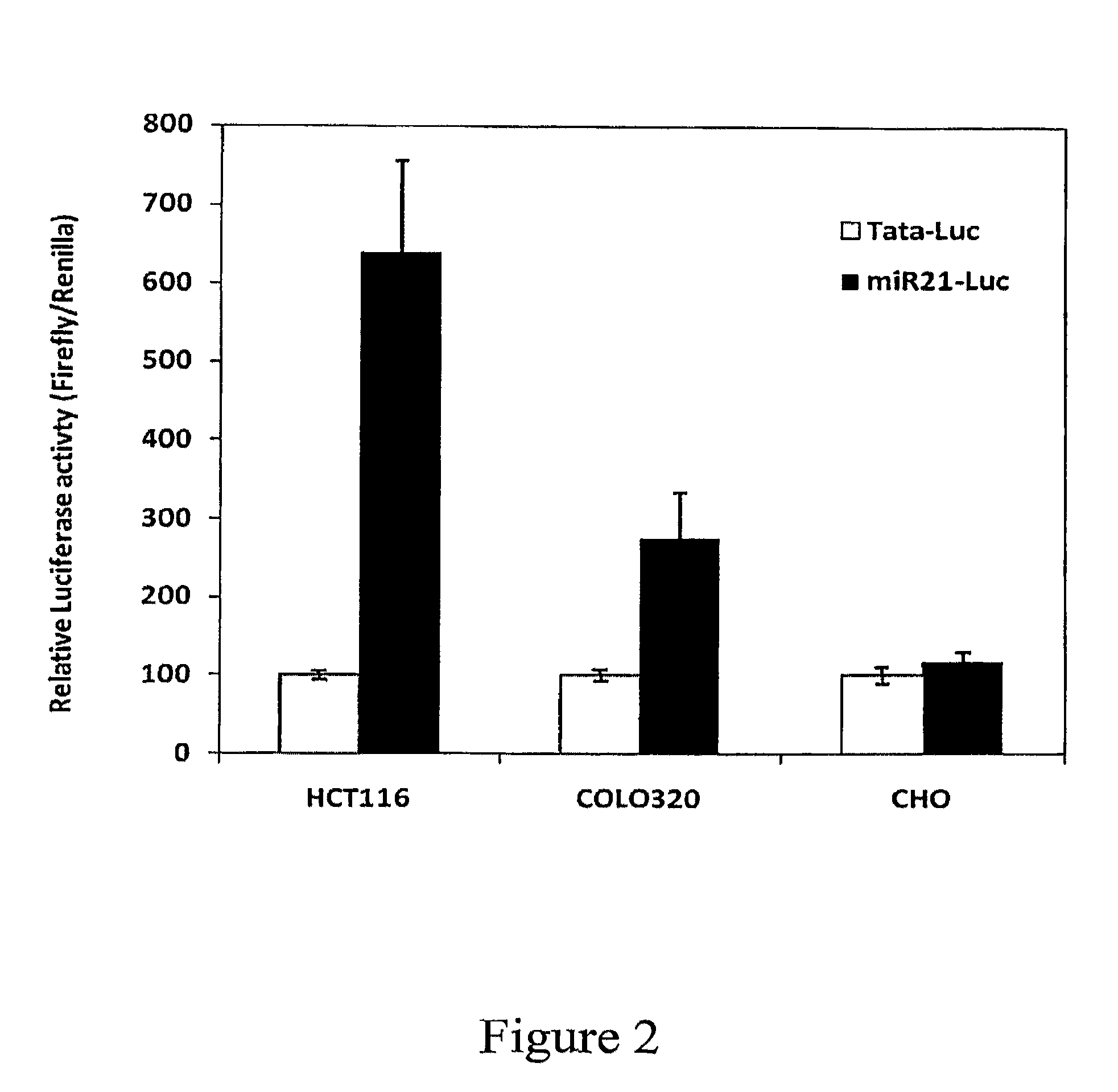 MIR-21 promoter driven targeted cancer therapy