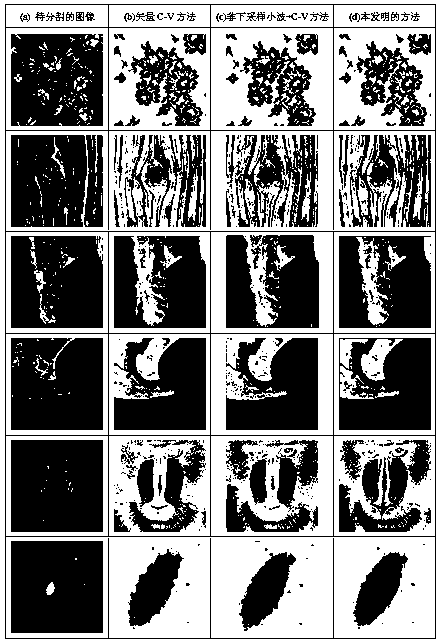 Image segmentation method based on non-subsampling shearlet transform and vector c-v model