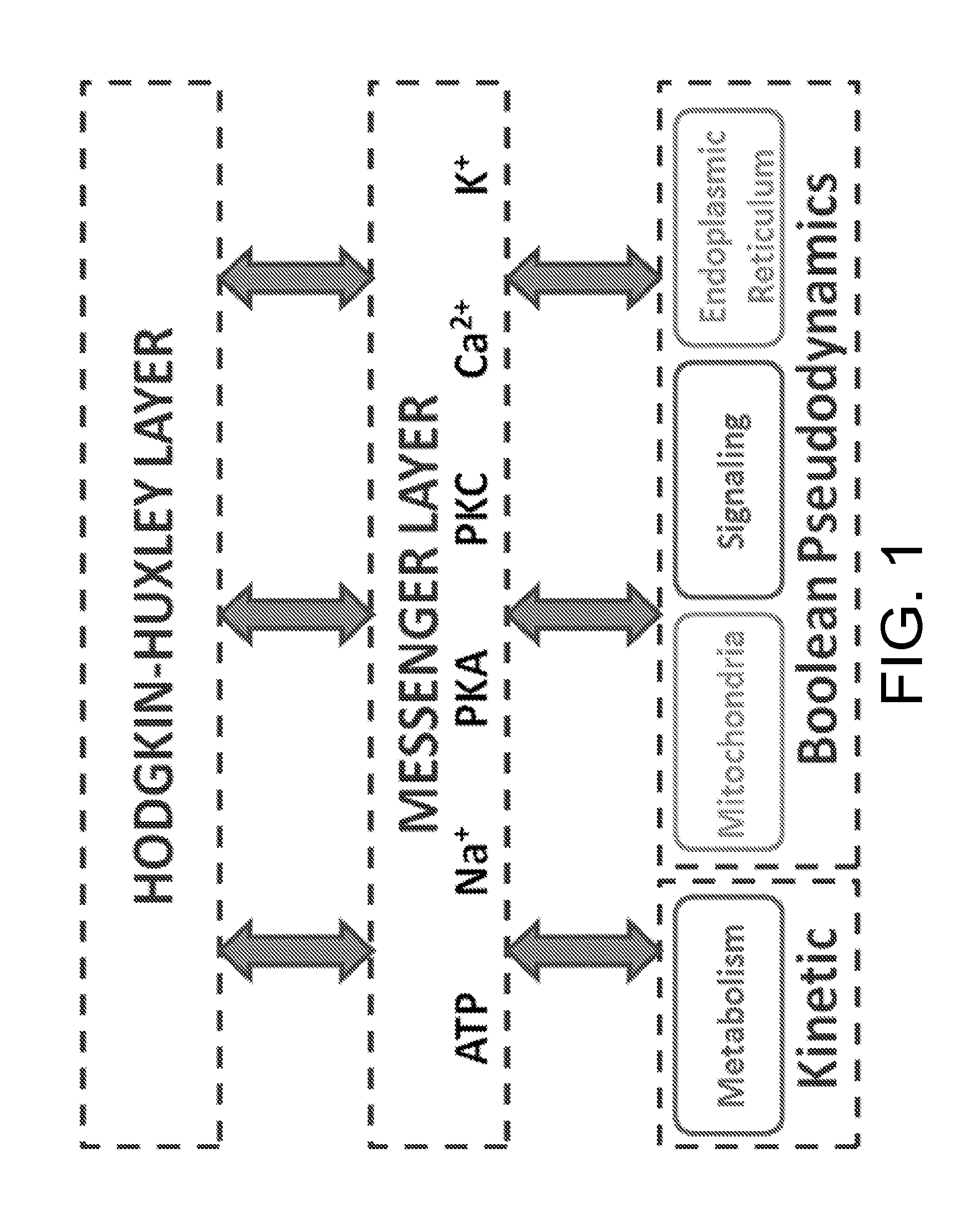 Model and Methods for Identifying Points of Action in Electrically Active Cells