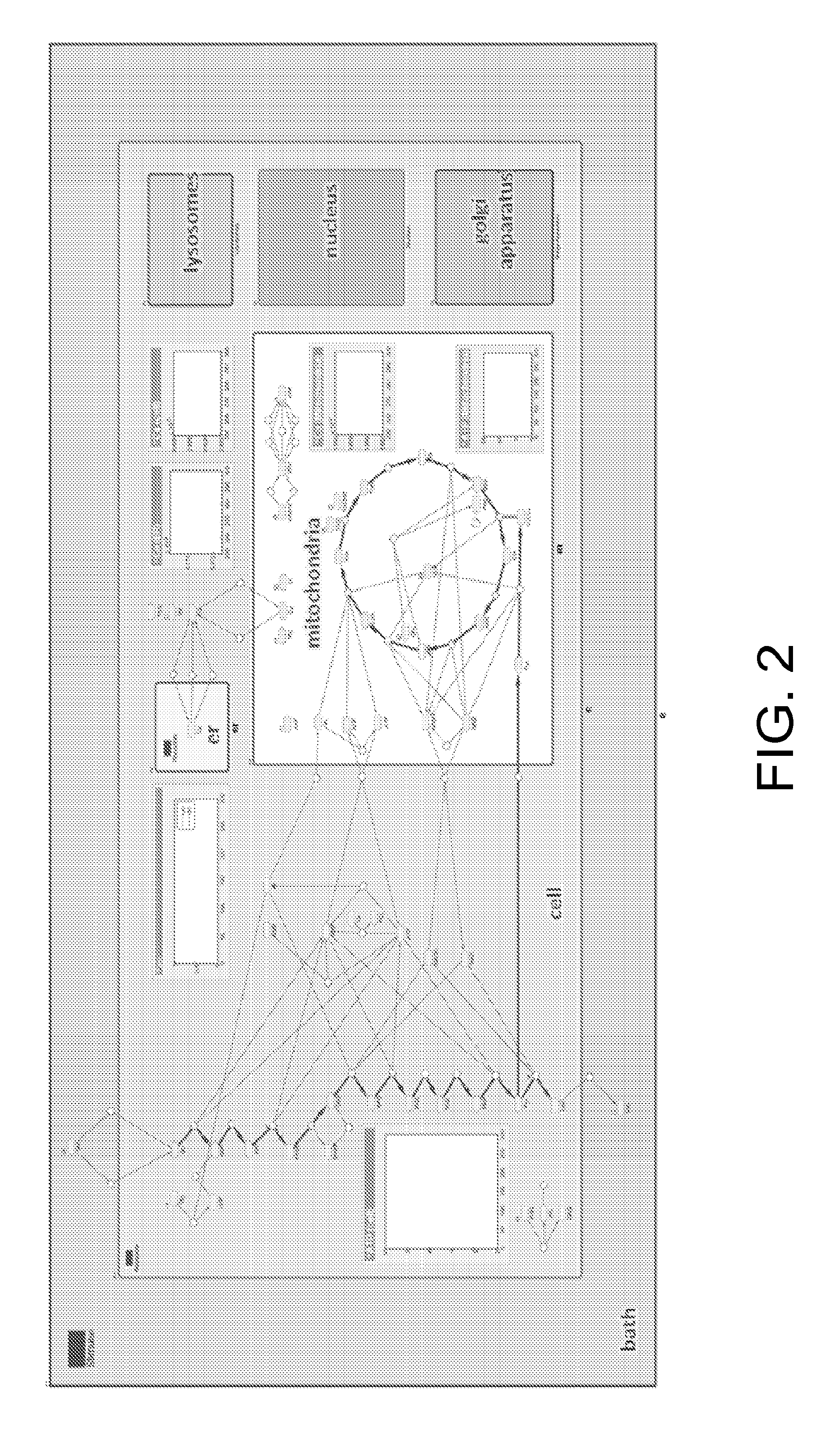 Model and Methods for Identifying Points of Action in Electrically Active Cells