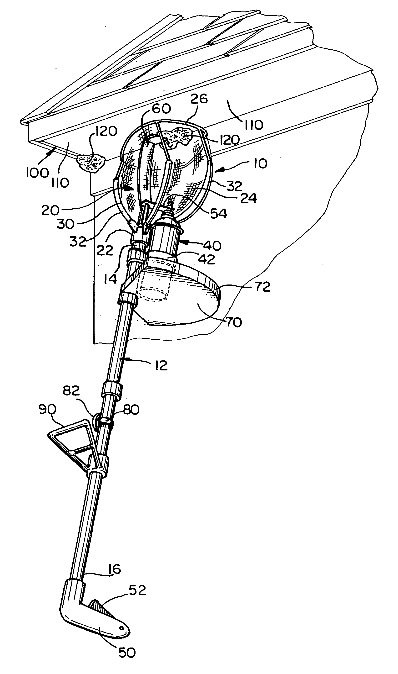 Insect and nest removal device