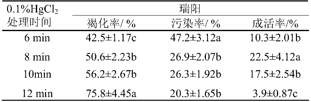 Rapid propagation method for novel apple varieties Ruiyang and Ruixue