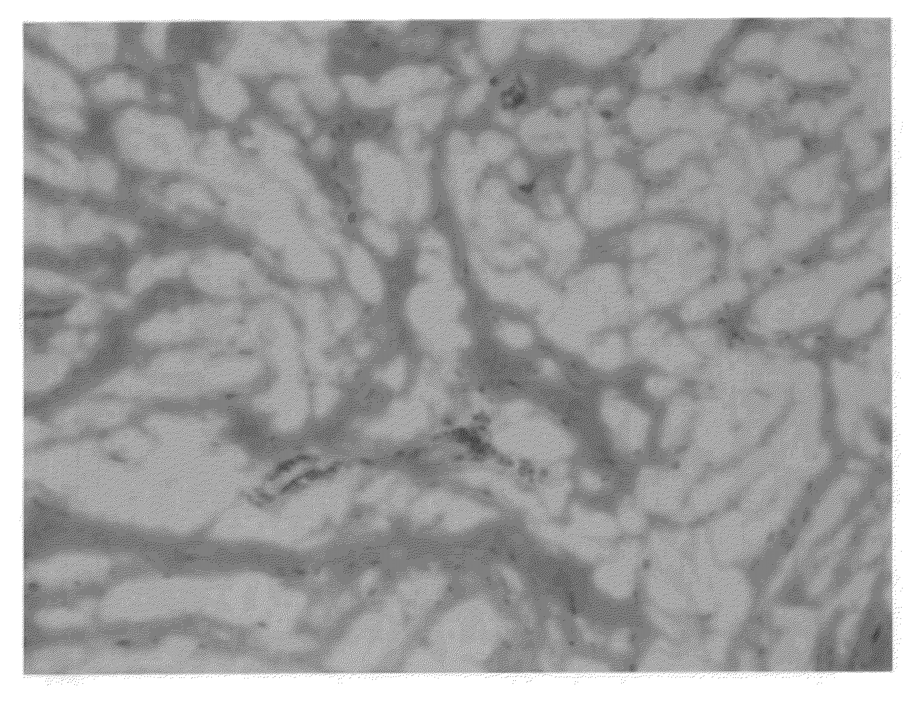 Anti-neoplastic compositions comprising extracts of black cohosh