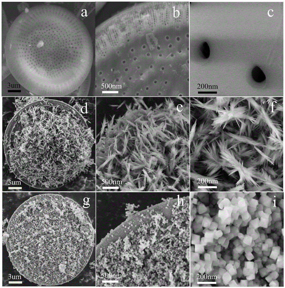 A preparation method of ordered structure nano-γ-al2o3 chemically modified diatomite adsorbent