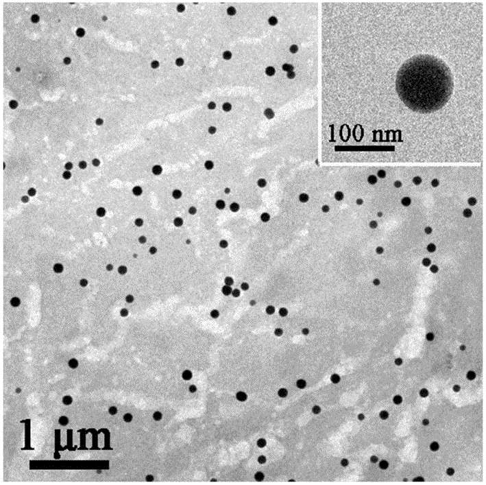 Application of polyphenylene vinylene (PPV) conjugated polymer luminescent nanometer material in latent fingerprint development