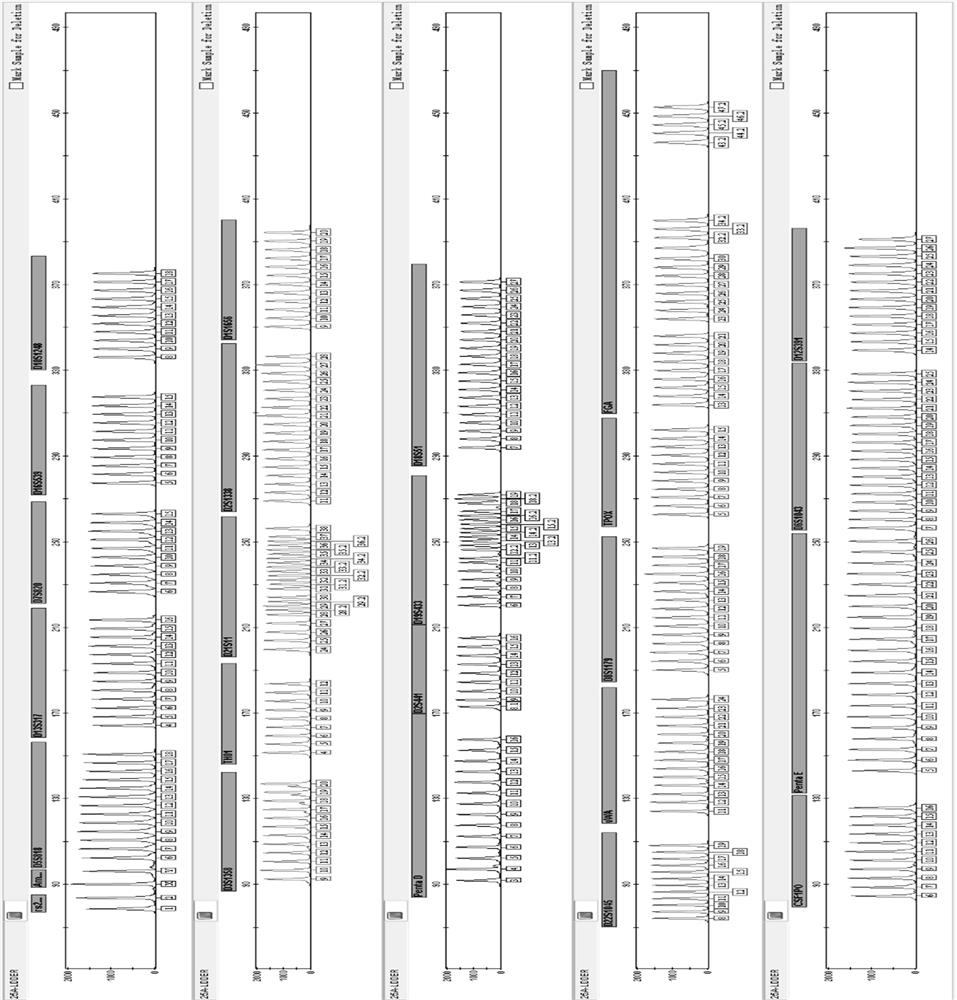 Specific amplification primer set for simultaneously amplifying 25 human str loci, fluorescent label amplification kit, application and method