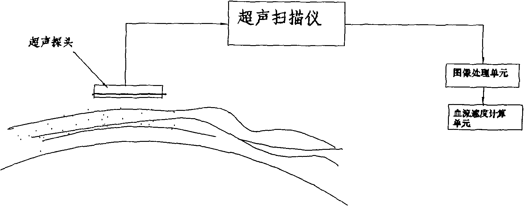 Device for directly measuring blood flow velocity