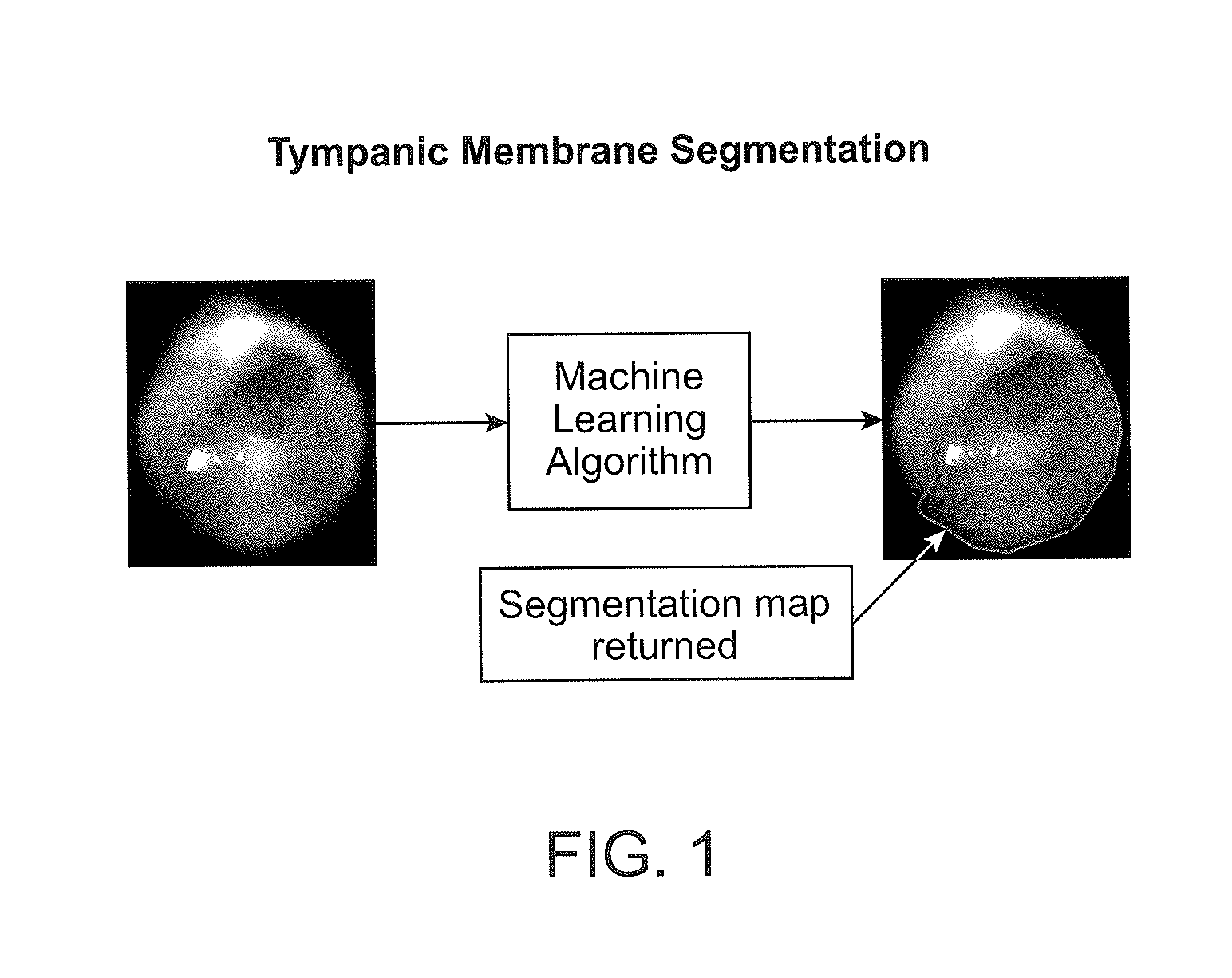 Apparatuses and methods for mobile imaging and analysis