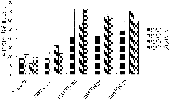 Immunity enhancing agent, inactivated vaccine, and preparation method thereof