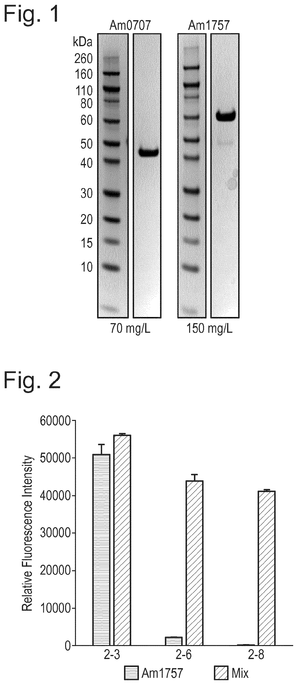 Enzymes for Glycan Analysis